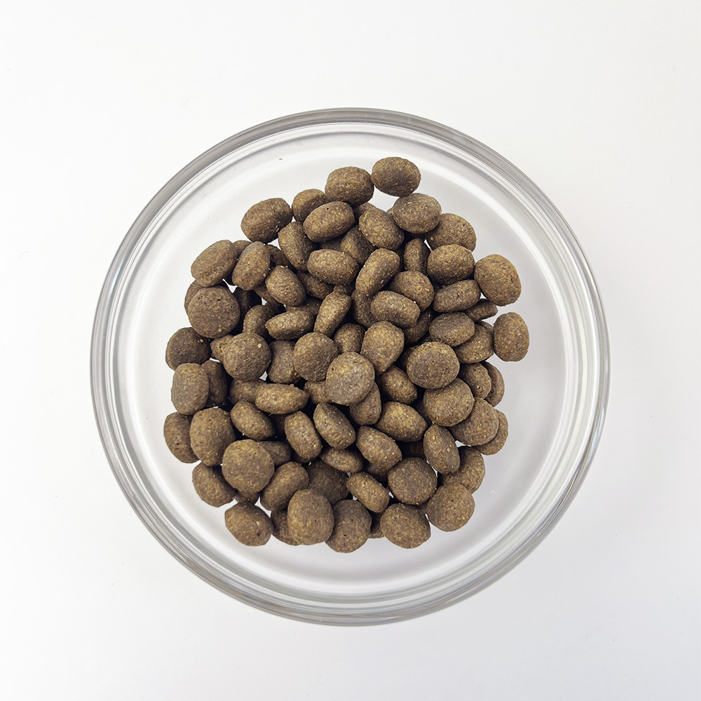 Best Pet Groomer in the East